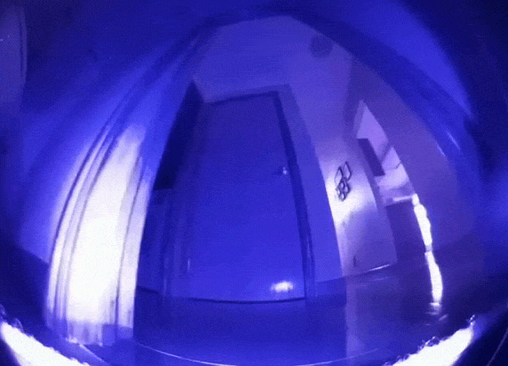 skitter.gif
